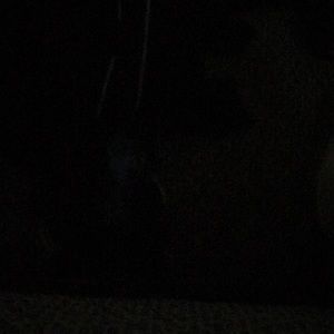 Meet your Posher, Derrick